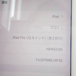 タブレット祭 アップル iPad Pro 12.9インチ 第2世代 256GB NPA52J/A A1671 au 判定○ 本体のみ キレイ 2023年にアップルで交換の画像8