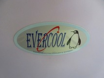 Z☆EVERCOOL　ポータブル冷温蔵庫　CH-9174　エバ―クール　動作OK_画像2