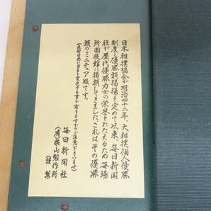 （9）大相撲優勝額 ミニチュア版 毎日新聞社 千代の富士・貴花田の画像8