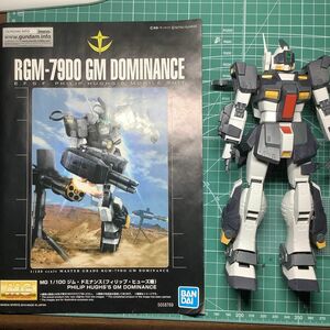 素組未塗装品　MG 1/100 RGM-79DO ジム・ドミナンス（フィリップ・ヒューズ機)