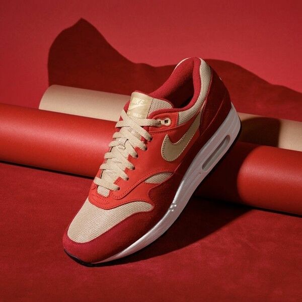 NIKE AIR MAX 1 PREMIUM RETRO 28cm レッドカレー