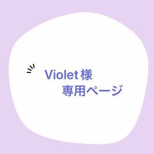 Violet様 専用ページ ホイップデコクリア小物ケース ミニサイズ 2個セット＆レースアップシェイカーキーホルダー