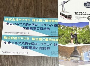 ◆中央アルプス 駒ヶ岳ロープウェイ・路線バス往復乗車券 ２枚セット　１２月末まで　　ヤマウラ優待◆