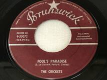 The Crickets/Brunswick 9-55072/Think It Over/Fool's Paradise/1958_画像5