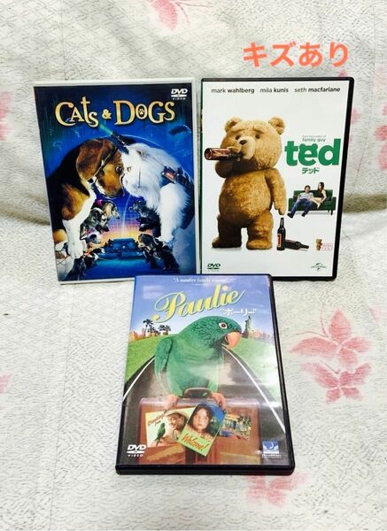 【送料込み】Ted/キャッツ＆ドックス/ポーリー　アニメDVD ※キズあり※