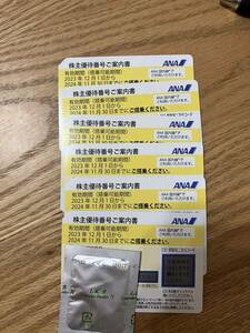 送料無料 ANA 6枚　発送も通知も可能　株主優待券 株主割引券 匿名取引 2024年11月30日 全日空　即決