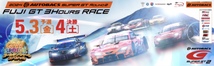 2024 SUPERGT スーパーGT ラウンド2 富士 テラスパドックパス ２枚 グリッドウォーク、ピットウォーク 入場、送料無料_画像1