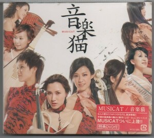 CD+DVD★送料無料★音楽猫/MUSICAT■未開封国内盤　中国民族楽器