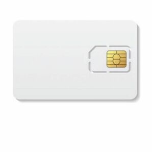 Docomo回線 プリペイドsim 合計150GB 3ヶ月有効 データ通信simカード