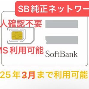 Softbank純正ネットワーク利用契約区分：月間データ１００GB　＋　SMS認証可能