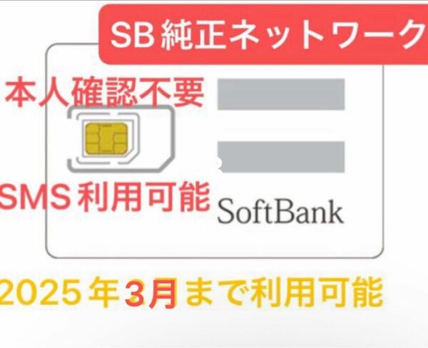 Softbank純正ネットワーク利用契約区分：月間データ１００GB　＋　SMS認証可能