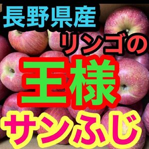 長野県産ふじ　約１０ｋｇ　本州の方のみ