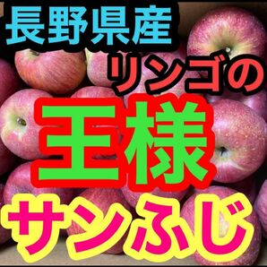 【最終値下げ】長野県産りんご　ふじ　約9キロ　お得　格安　フルーツ