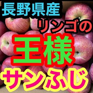 【タイムセール本日のみ】長野県産りんご　ふじ　約9キロ　お得　格安　フルーツ