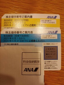 ANA 株主優待券　2枚セット