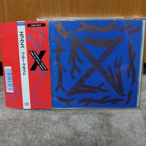 X JAPAN BLUE BLOOD (廃盤)の画像1