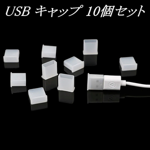[定形] USB キャップ 10個セット (Type-C キャップに変更も可) / PC 防塵 コネクタキャップ 保護キャップ ダストプラグ ダストカバー