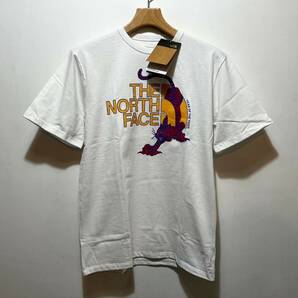 送料無料 新品 新品 日本未発売 正規品 USA限定 The North Face ザ・ノースフェイス グラフィックTシャツ US-L WHITE