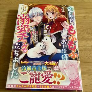 竜王陛下のもふもふお世話係　転生した平凡女子に溺愛フラグが立ちました　１ 