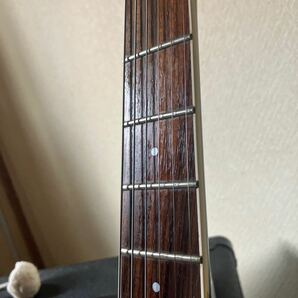 FERNANDES APG サスティナー搭載 24ｆの画像7