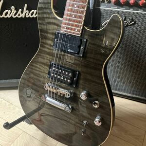 FERNANDES APG　サスティナー搭載　24ｆ