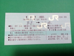 ☆彡【GW限定】値下げ 即決セール！　東京　乗車票