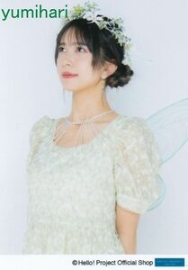 井上玲音 4/26発売生写真“Shopオリジナル 2024 Twinkle”パート4