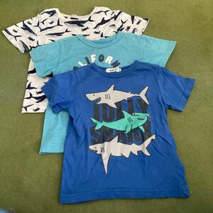 半袖Tシャツ　3枚セット　サメ　クジラ