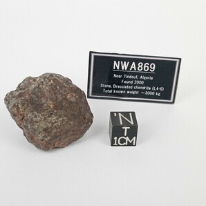 NWA869隕石 36.5g