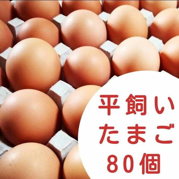 平飼い卵　10個入り8パック 国産もみじの卵　新鮮　産みたて