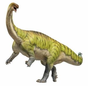 PNSO 成長シリーズ 81 ルーフェンゴサウルス フィギュア 竜盤目 マッソスポンディルス科 25cm級 草食 恐竜 PVC おもちゃ 模型 恐竜好き