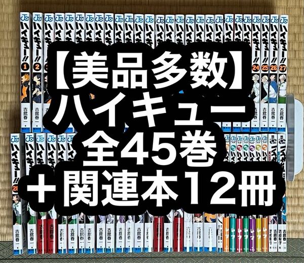 【21.22日限定セール】【美品多数】ハイキュー 全45巻＋関連本12冊