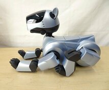 直D02407★SONY AIBO アイボ ERS-210 / 未開封メモリースティック バーチャルペット 通電確認済み 現状品 ジャンク 玩具_画像2