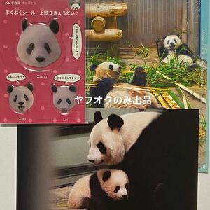 ★シャンシャン ポストカード★パンダ自身 ぷくぷくシール 上野３きょうだい／シンシン ジャイアントパンダ 上野動物園 公式写真 販売終了