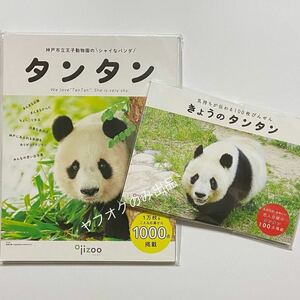 ★神戸市立王子動物園のシャイなパンダ タンタン ★気持ちが伝わる１００枚びんせん きょうのタンタン／写真集 フェリシモ 