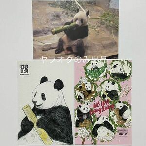 シャンシャン ポストカード／ジャイアントパンダ 香香 上野動物園 公式写真 販売終了 クリスタルアート