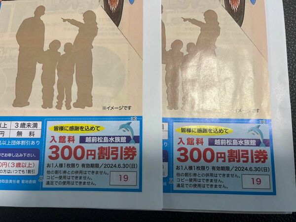 2枚 越前松島水族館 入館料300円割引券 クーポン券