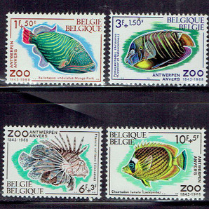 ベルギー 1968年 付加金付切手(熱帯魚 )セットの画像1