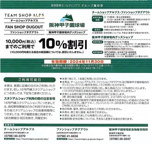 阪神甲子園球場　球場内グッズショップ　10％割引券　2枚set　2024年11月末迄有効　阪急阪神ホールディングス　株主優待券