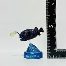 海洋堂 DyDo MIU 深海生物フィギュアコレクション / 2. チョウチンアンコウ_画像4