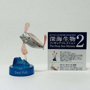 海洋堂 DyDo MIU 深海生物フィギュアコレクション2 / 02. テンガイハタ(幼魚)