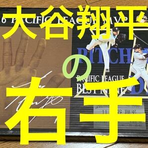 【限定品】大谷翔平 2016年 ファイターズ時代 日本一 3D手形プレート 検)ドジャース、山本由伸、イチロー、ダルビッシュの画像1