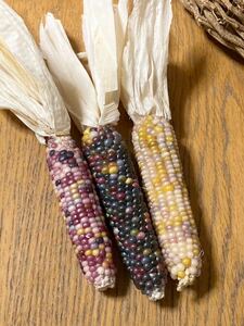 F* hand made * dry flower * material for flower arrangement * glass jem corn * colorful corn *3 pcs set * appreciation for * display * photographing .* kind taking .*