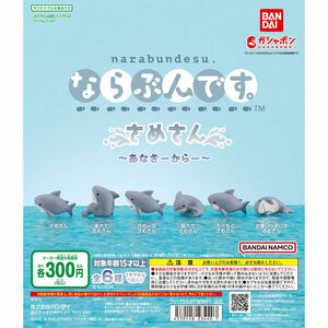 【A-13】ガチャガチャ　ならぶんです。 さめさん あなざーからー　全6種セット　鮫　サメ　カプセルトイ　フィギュア 