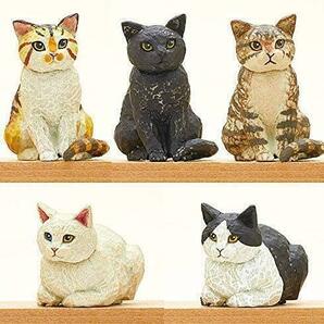 【A-23】ガチャガチャ はしもとみお 猫の彫刻 全5種セット ねこ 猫 ネコ フィギュア キタンクラブ 彫刻の画像2