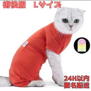  limited amount . after clothes Elizabeth wear L cat .. cat scratch lick prevention Elizabeth collar. replacement skin protection new goods unused anonymity delivery 