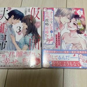 仮面夫婦　御曹司は今夜も妻を愛せない　３ （Ｂｅｒｒｙ’ｓ　ＣＯＭＩＣＳ　し２－３） 柴寅／作画　吉澤紗矢／こちら専用ページです。