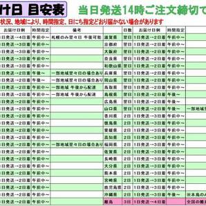 トラック用 バンパーサイド170㎜ 2tスーパーグレートバンパー330H メクラ蓋 バンパー前出し サイドカバー バンパー横のカバーの画像2