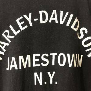 70年代 ビンテージ ハーレー ダビッドソン Tシャツ JAMESTOWN N.Y. 70's USA 古着の画像6