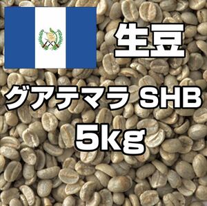 [ coffee raw legume ]gatemalaSHB 5kg * free shipping!!